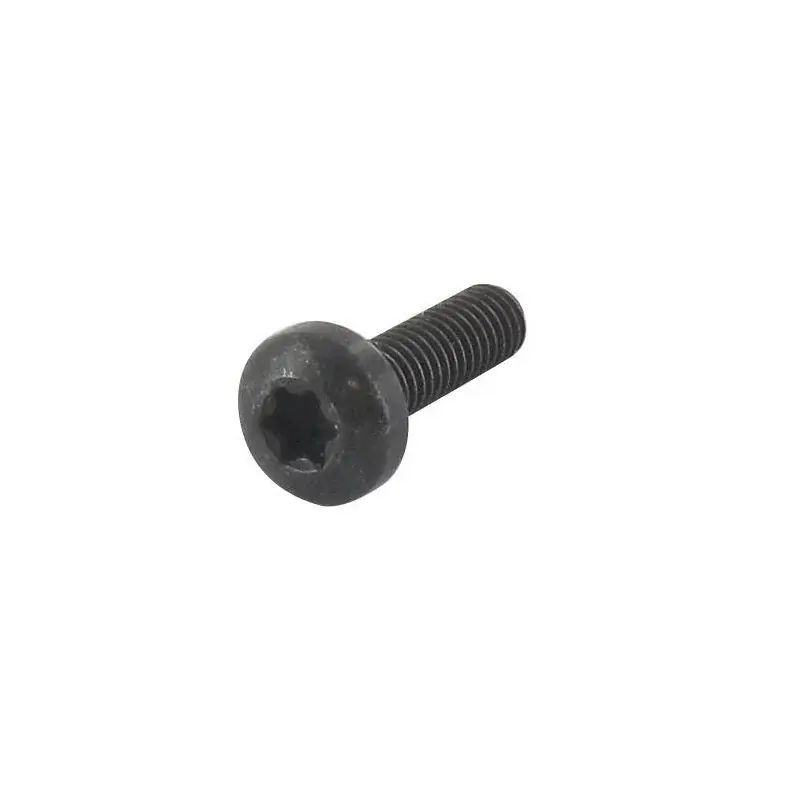 Vis tête TORX M6 x 20 mm GGP – CASTELGARDEN 112727801/0 Meilleure Vente