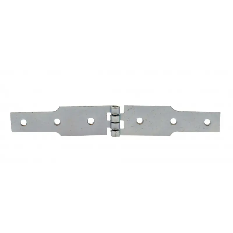 Must-Have CHARNIERE A CONGE ACIER ZINGUE 40X250 – NORAIL
