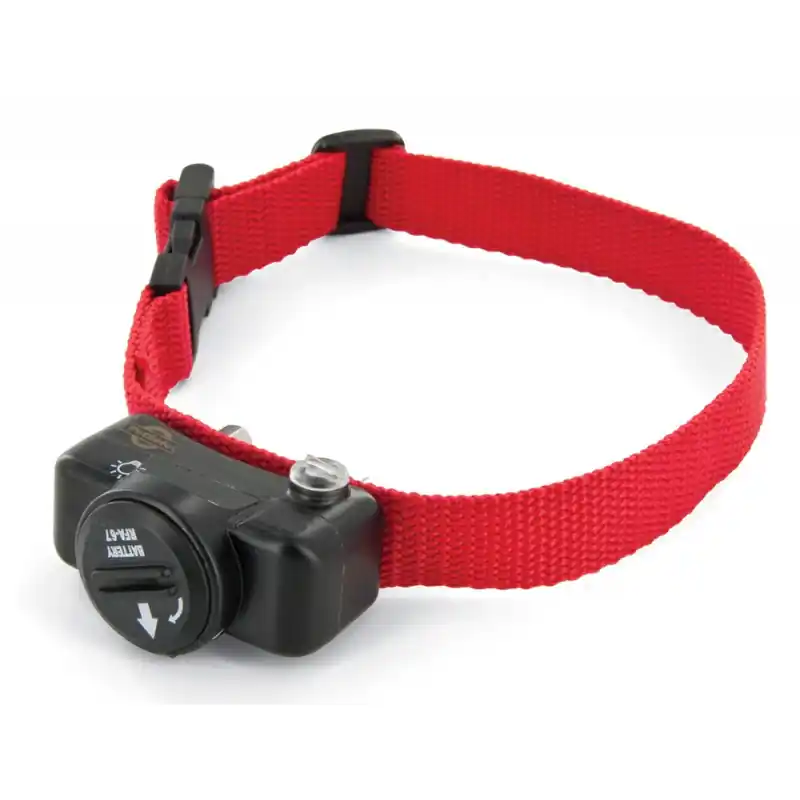 Expédition Rapide COLLIER SUPPLEMENTAIRE POUR RADIO FENCE – PETSAFE
