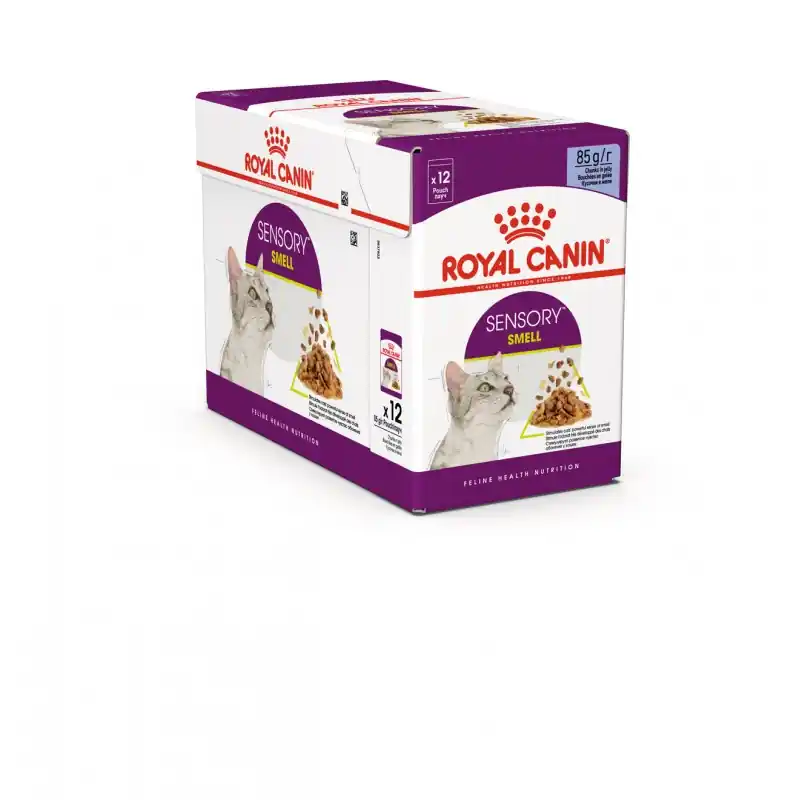 Quantité Limitée ALIMENT HUMIDE CHAT SENSORY SMELL GELÉE 12X85G ROYAL CANIN