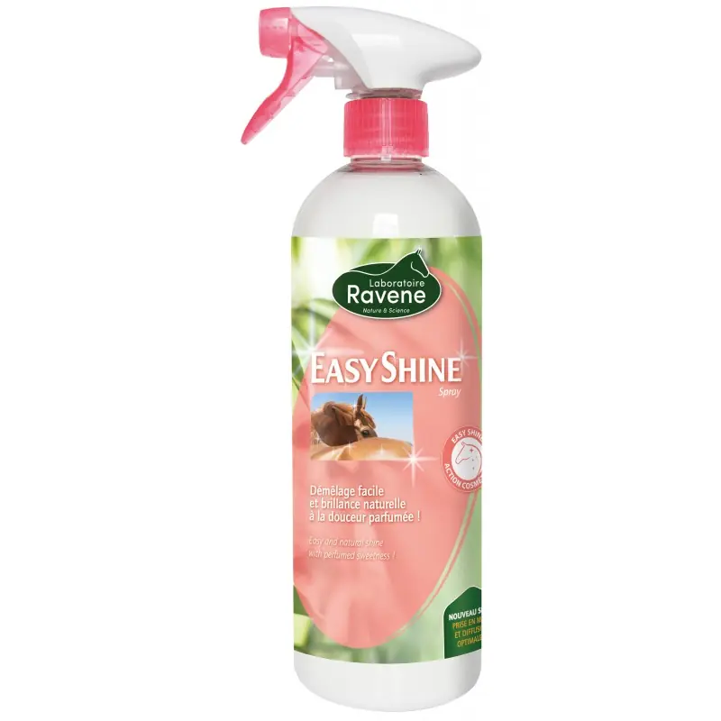 Bon Plan EASY SHINE LUSTRANT 750ML – RAVENE