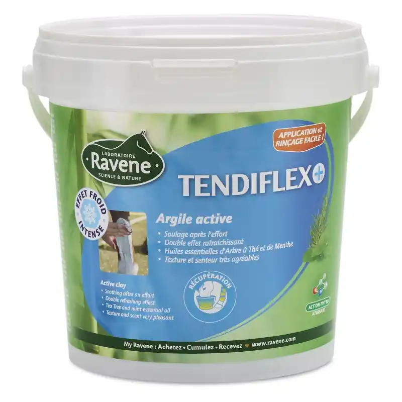 Prix Choc TENDIFLEX+ 1.5KG – RAVENE