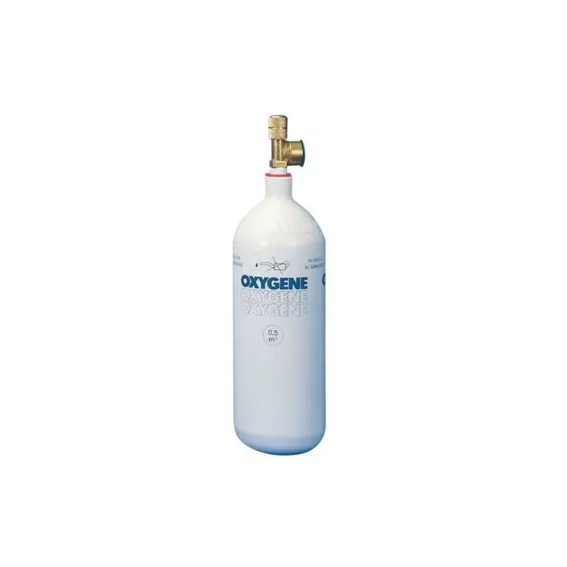 Bon Marché BOUTEILLE RECHARGEABLE OXYGENE 500L – CAMPINGAZ
