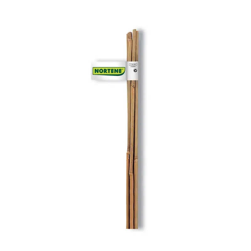 TUTEURS BAMBOU NATUREL 0.6M X6 – NORTENE Affaire À Saisir
