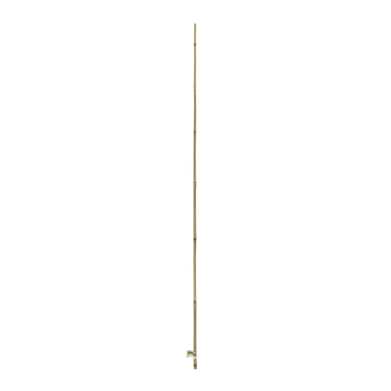 TUTEURS BAMBOU NATUREL 1.2M X3 – NORTENE Prix Promo