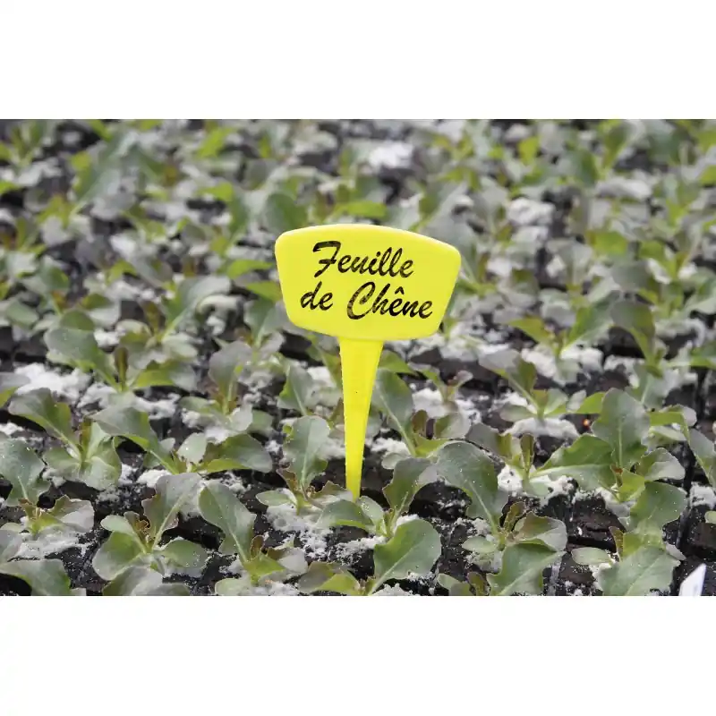 ÉTIQUETTES A PLANTER 15CM X10 – NORTENE Retour Gratuit