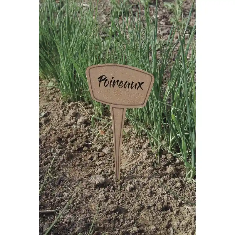 Livraison Express ÉTIQUETTES A PLANTER MISCANTHUS X5 25CM – NORTENE