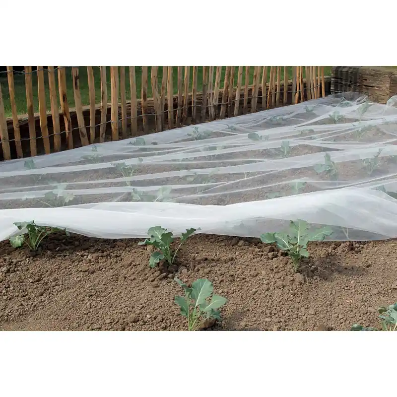 FILET ANTI-INSECTES 10M – NORTENE Top Vente