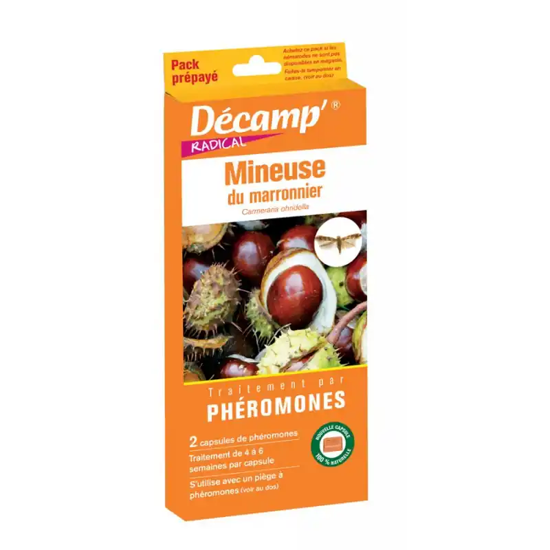 Prix Cassé MINEUSE DU MARRONNIER CAMERARIA OHRIDELLA – DECAMP‘
