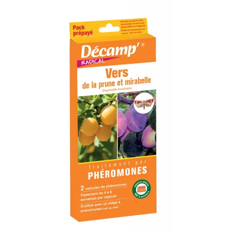 Super Prix VER DE LA PRUNE PACK PRÉPAYÉ – DECAMP‘