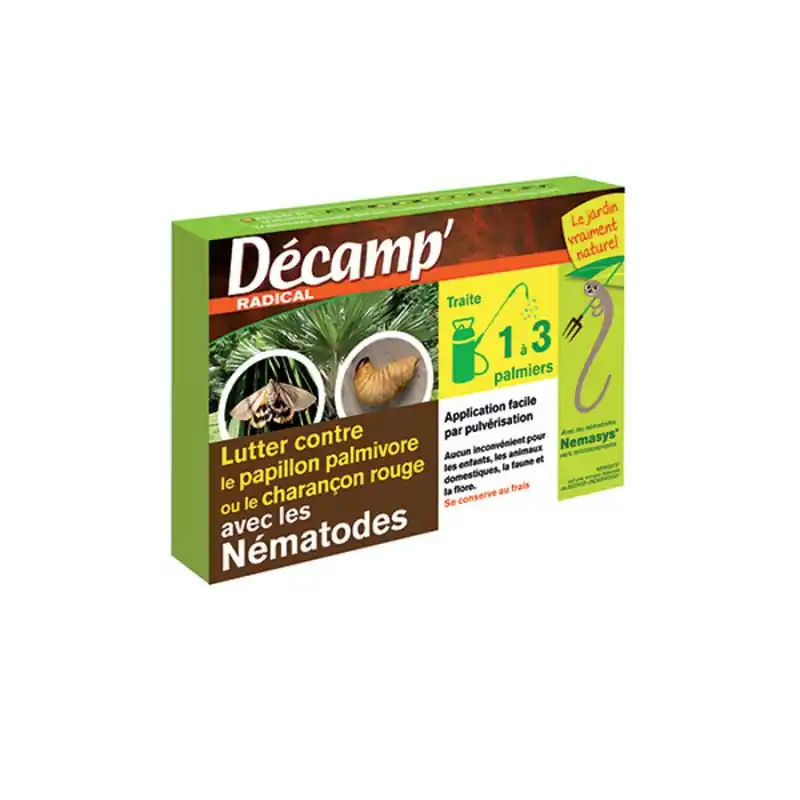NEMATODES PAPILLONS PALMIERS – DECAMP‘ Dernier Modèle