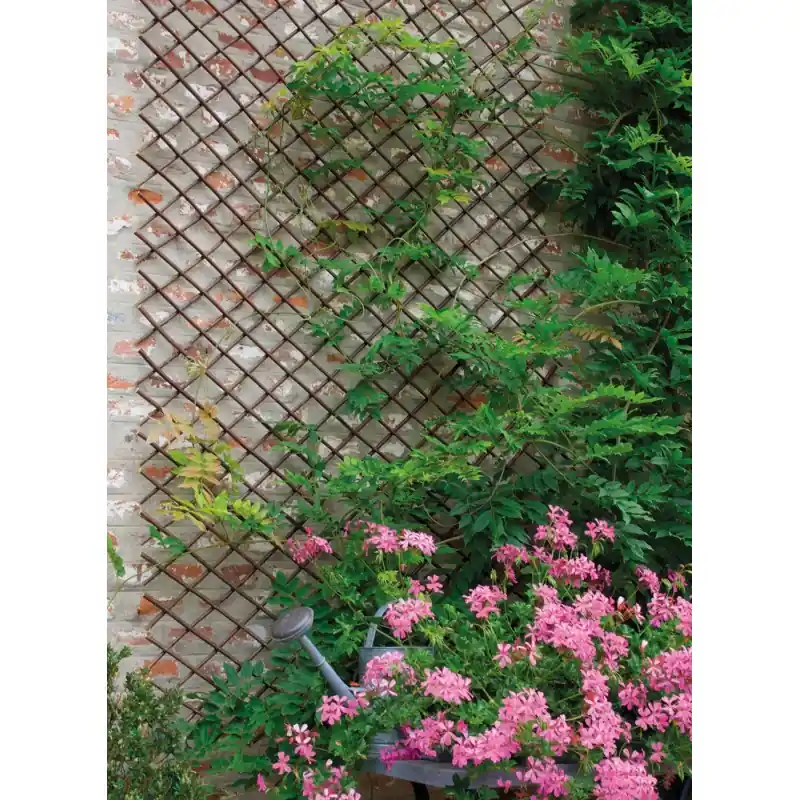 TREILLIS OSIER EXTENSIBLE WILLOW TRELLIS 1Mx2M - NORTENE Expédition Rapide