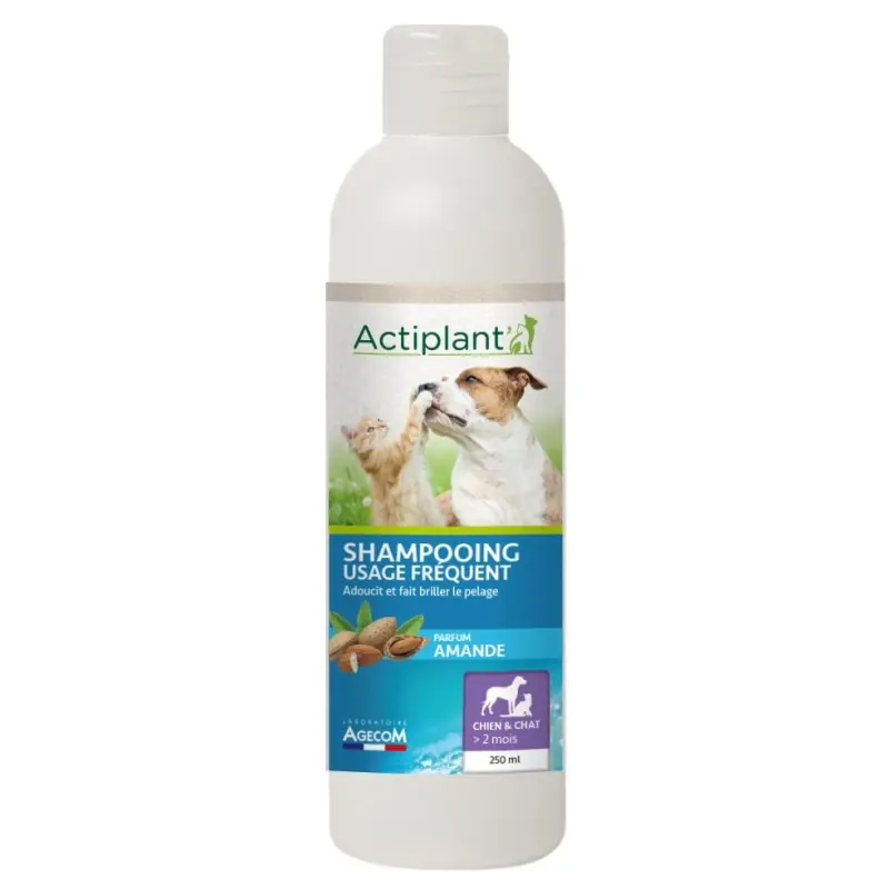 Offre Du Jour SHAMPOOING USAGE FRÉQUENT 250ML – ACTIPLANT