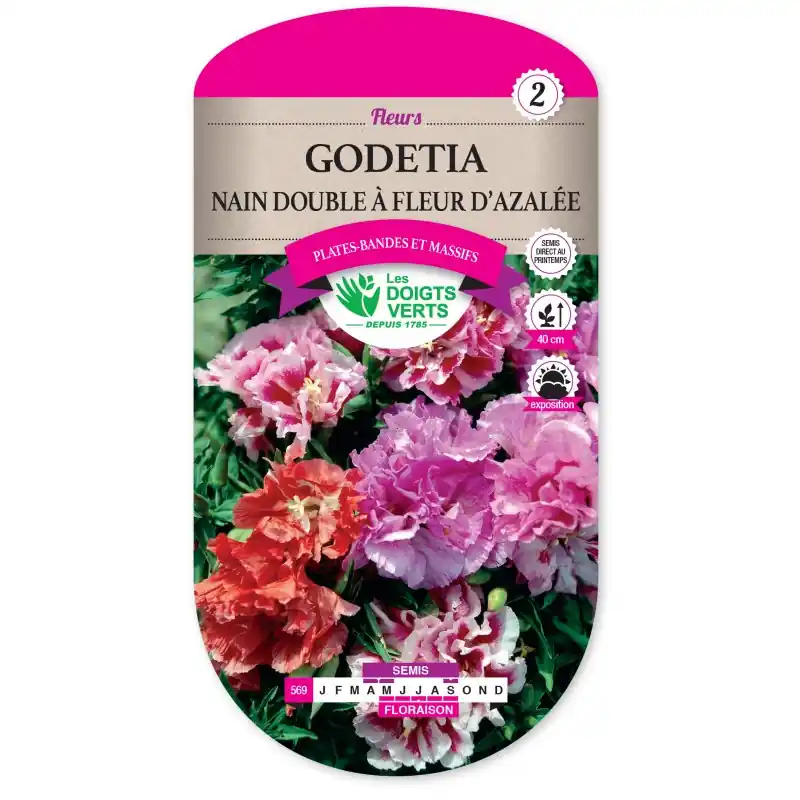 Offre Exclusive GODETIA NAIN DOUBLE A FLEUR D‘AZALÉE – CATÉGORIE 2 – LES DOIGTS VERTS