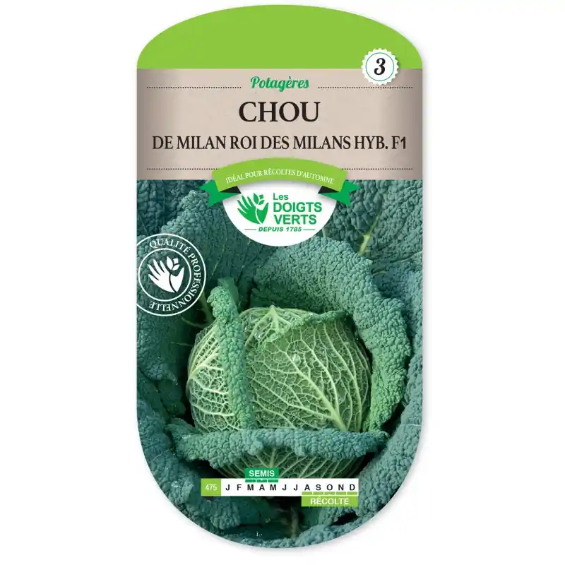CHOU DE MILAN ROI DES MILANS HYBRIDE F1 - CATÉGORIE 3 - LES DOIGTS VERTS Prix Promo