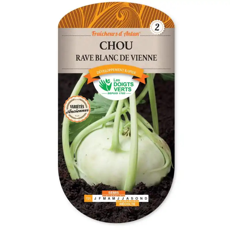 CHOU RAVE BLANC DE VIENNE – LES DOIGTS VERTS Prix Bas