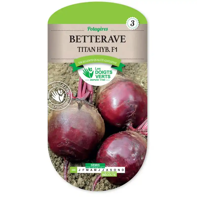 BETTERAVE TITAN HYBRIDE F1 - CATÉGORIE 3 - LES DOIGTS VERTS Bon Plan