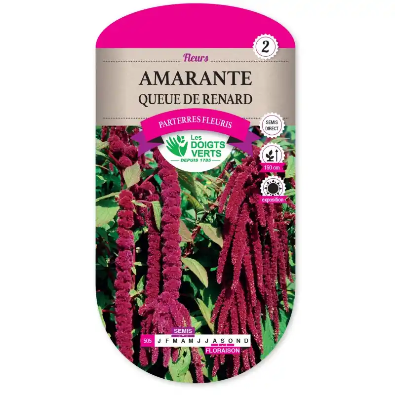 AMARANTE QUEUE DE RENARD – CATÉGORIE 2 – LES DOIGTS VERTS Populaire