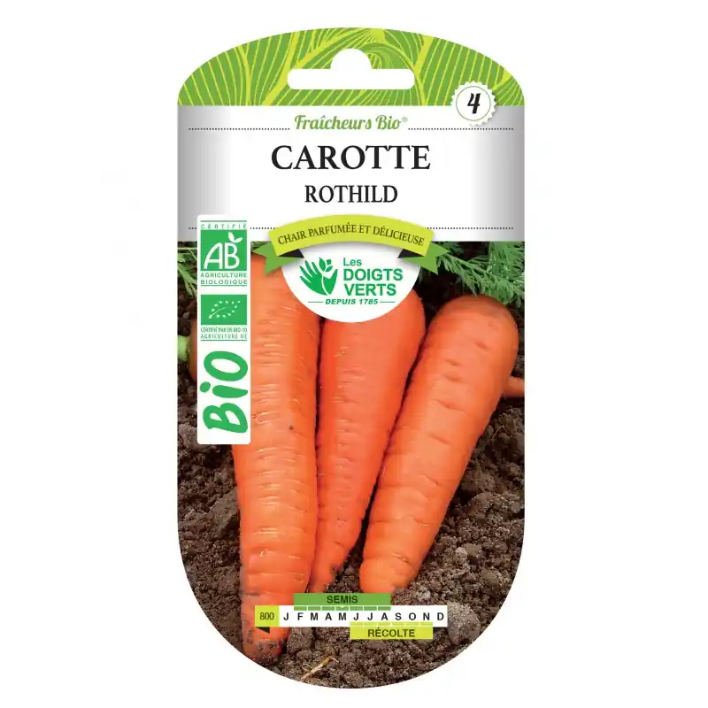 CAROTTE ROTHILD BIO – CATÉGORIE 4 – LES DOIGTS VERTS Populaire