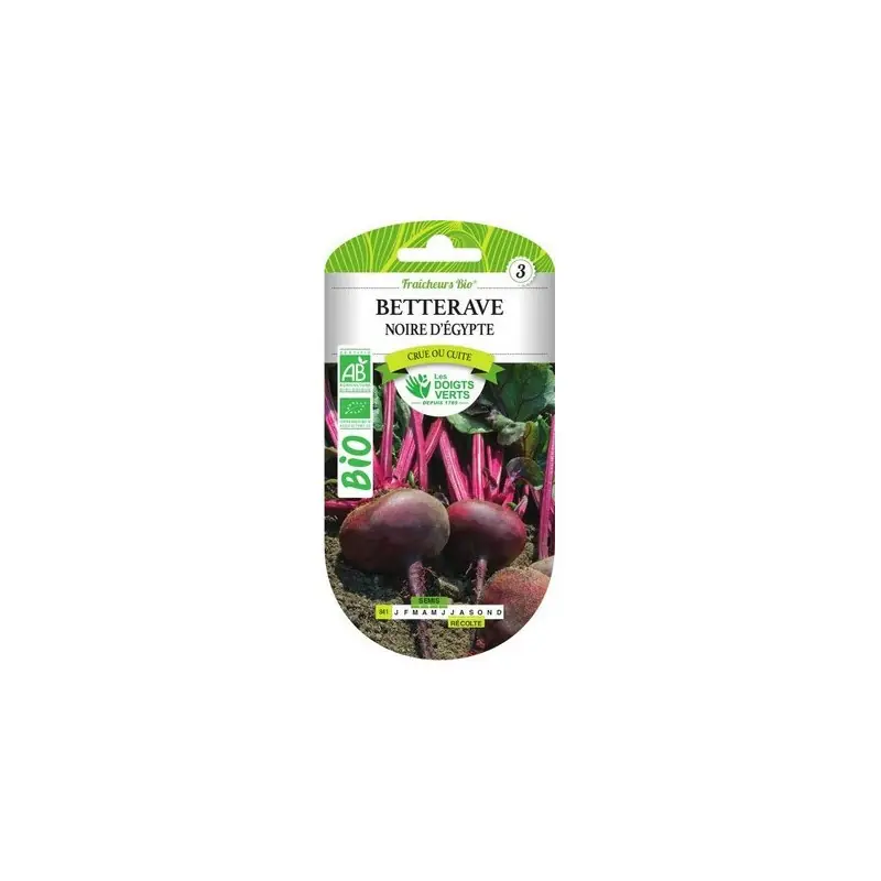 BETTERAVE NOIRE D‘ÉGYPTE BIO – CATÉGORIE 3 – LES DOIGTS VERTS Vente Directe