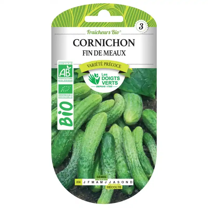 CORNICHON FIN DE MEAUX BIO – CATÉGORIE 3 – LES DOIGTS VERTS Populaire