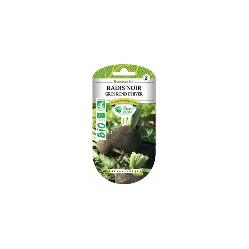 RADIS NOIR GROS ROND D‘HIVER BIO – CATÉGORIE 3 – LES DOIGTS VERTS Certifié