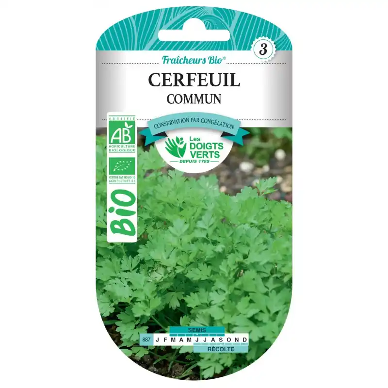 Achat Immédiat CERFEUIL COMMUN BIO – CATÉGORIE 3 – LES DOIGTS VERTS