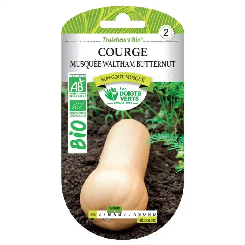 COURGE MUSQUÉE WALTHAM BUTTERNUT BIO – CATÉGORIE 2 – LES DOIGTS VERTS Dernier Modèle