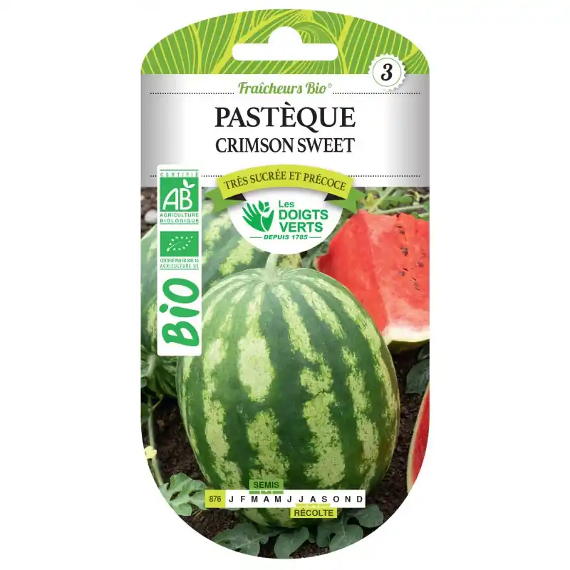 PASTÈQUE CRIMSON SWEET BIO - CATÉGORIE 3 - LES DOIGTS VERTS Dernière Chance