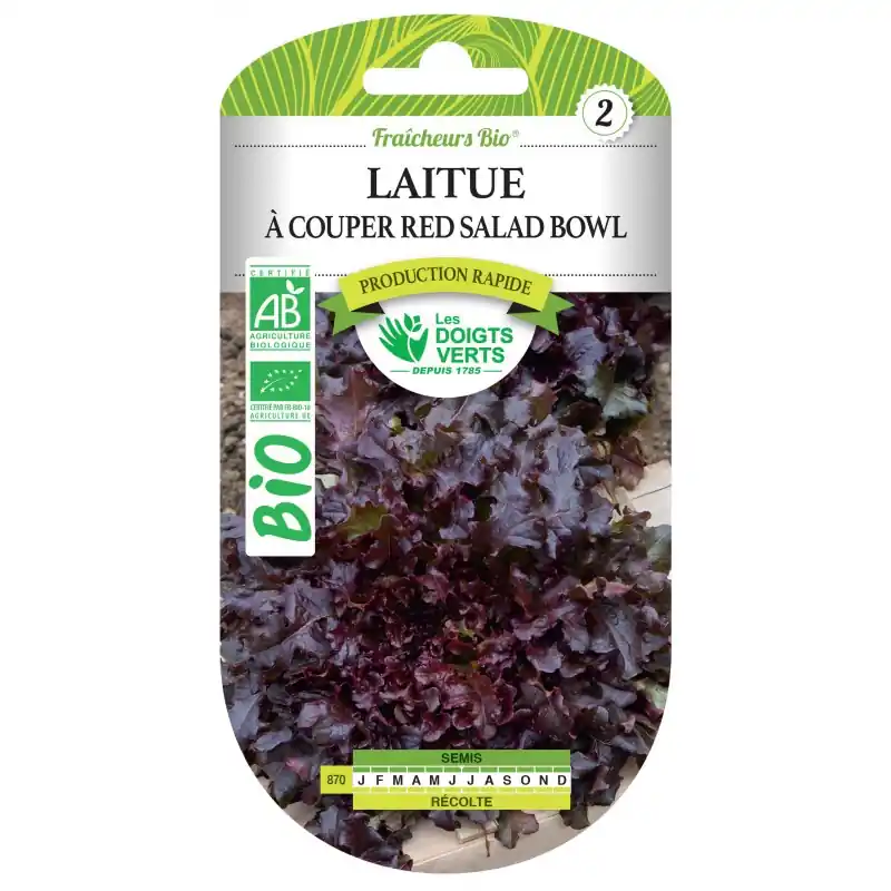 LAITUE A COUPER RED SALAD BOWL BIO - CATÉGORIE 2 - LES DOIGTS VERTS Offre Exclusive