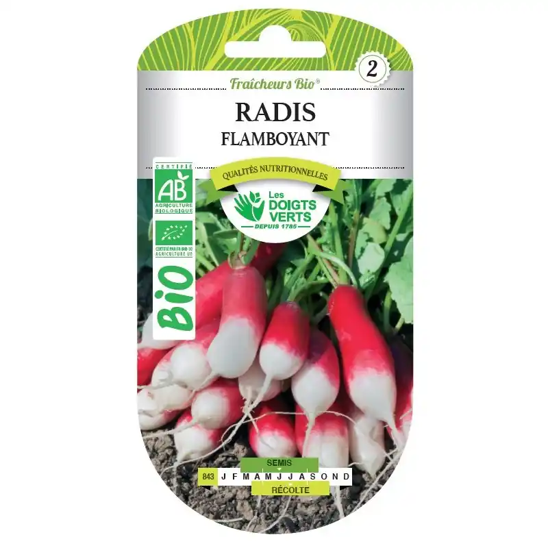 Usine Directe RADIS FLAMBOYANT BIO - CATÉGORIE 2 - LES DOIGTS VERTS