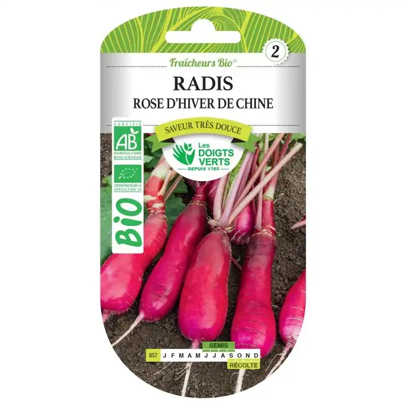 RADIS ROSE D‘HIVER DE CHINE BIO – CATÉGORIE 2 – LES DOIGTS VERTS Prix Cassé