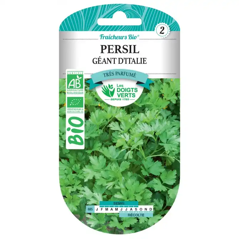 PERSIL GÉANT D‘ITALIE BIO – CATÉGORIE 2 – LES DOIGTS VERTS Meilleur Choix