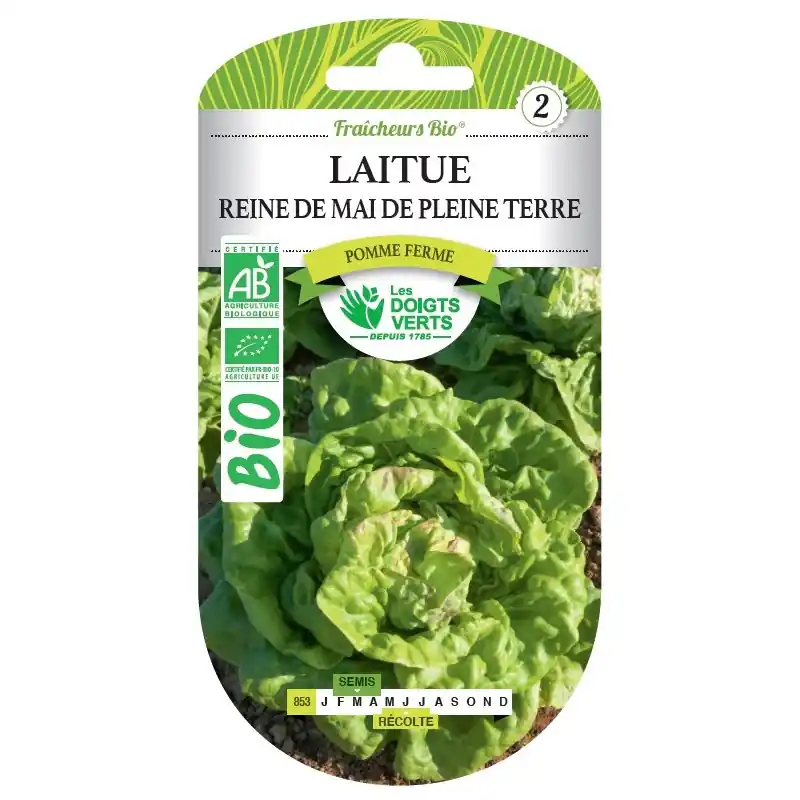 Super Prix LAITUE REINE DE MAI DE PLEINE TERRE BIO – CATÉGORIE 2 – LES DOIGTS VERTS