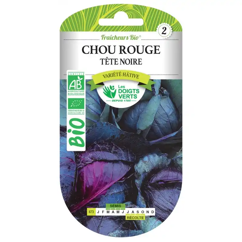 CHOU ROUGE TÊTE NOIRE BIO - CATÉGORIE 2 - LES DOIGTS VERTS Seulement Aujourd'hui
