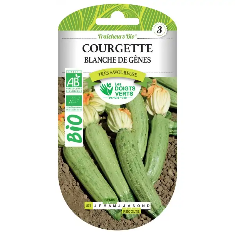 COURGETTE BLANCHE DE GÊNES BIO - CATÉGORIE 3 - LES DOIGTS VERTS Bon Plan