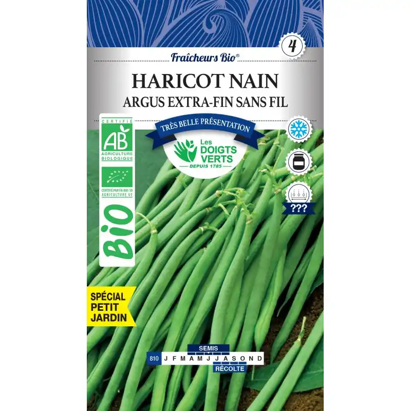 Petit Prix HARICOT NAIN ARGUS EXTRA-FIN SANS FIL BIO – CATÉGORIE 4 – LES DOIGTS VERTS