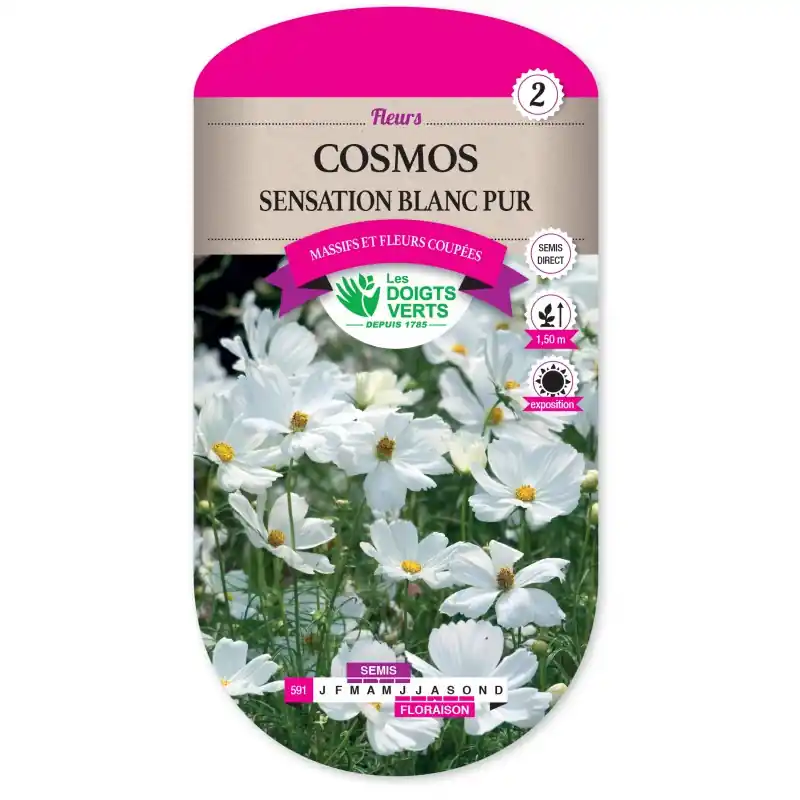 COSMOS SENSATION BLANC PUR - CATÉGORIE 2 - LES DOIGTS VERTS Expédié Aujourd'hui