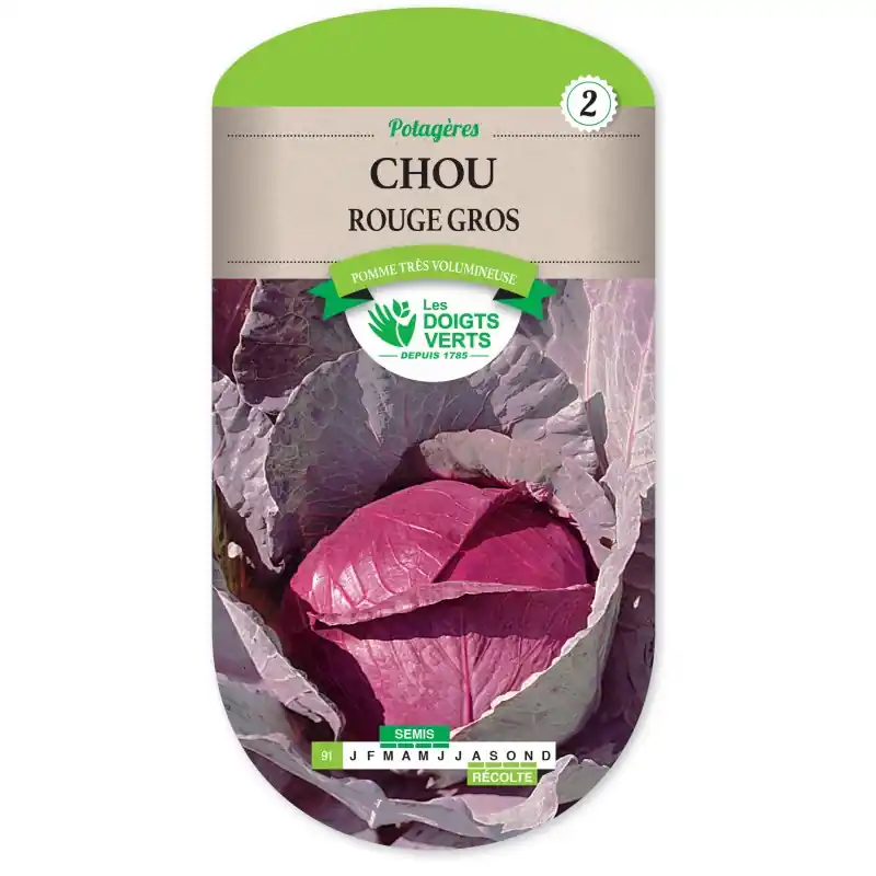 CHOU ROUGE GROS – CATÉGORIE 2 – LES DOIGTS VERTS Promotion
