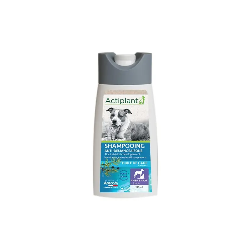 SHAMPOOING ANTI DEMANGEAISON 250ML – ACTIPLANT Prix Cassé