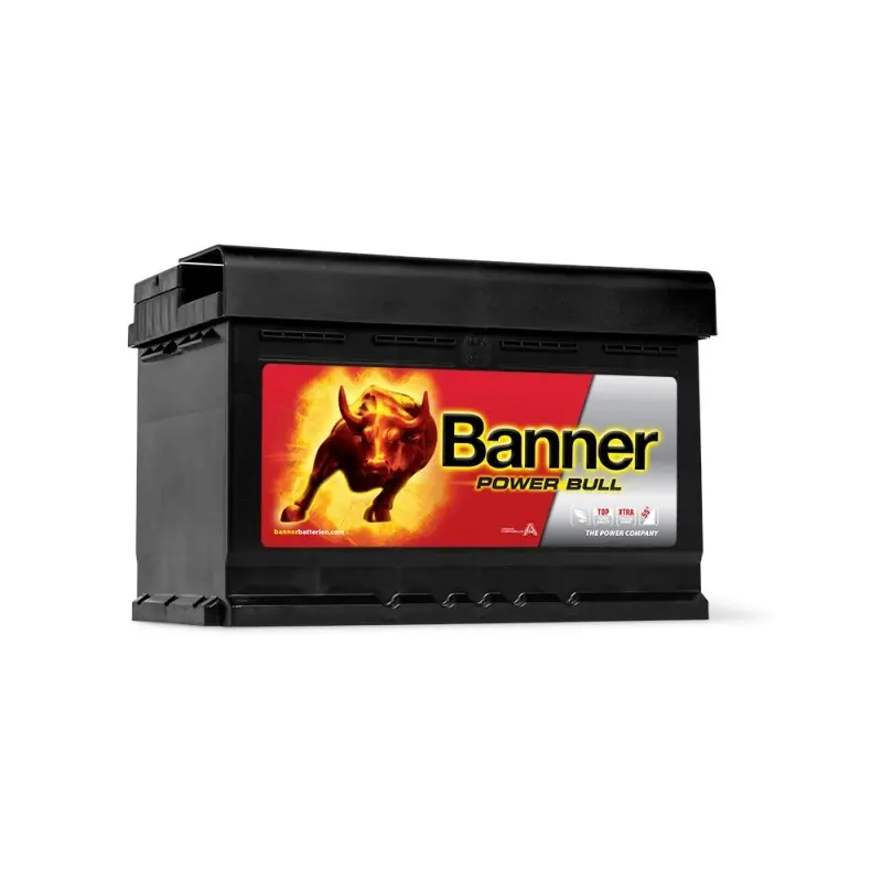 BATTERIE DÉMARRAGE 12V 077AH 700A – BANNER Prix Bas