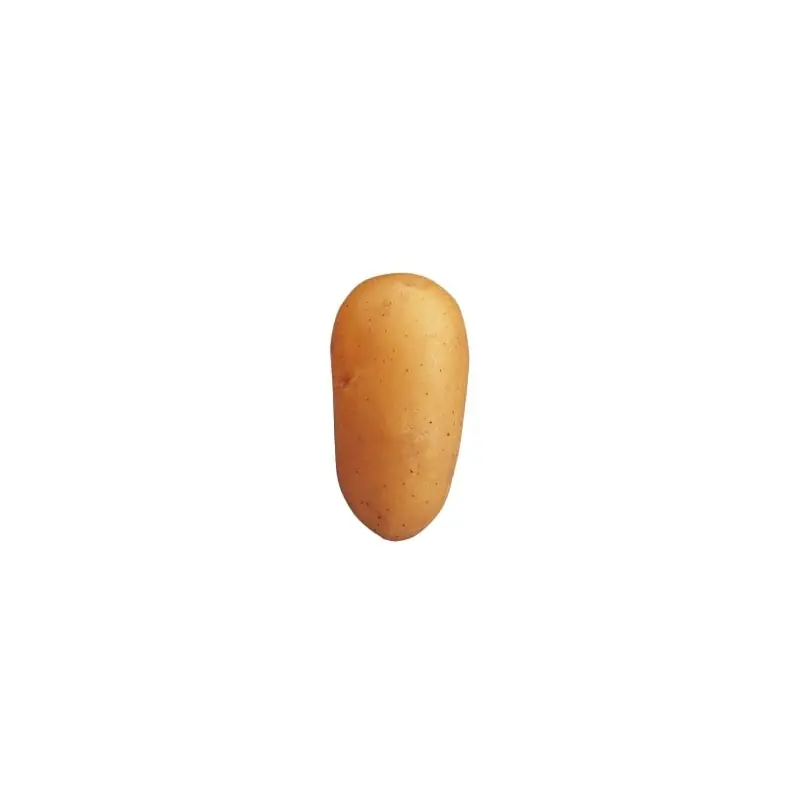 Soldes SAC POMMES DE TERRE CHARLOTTE 35/45 3 KG