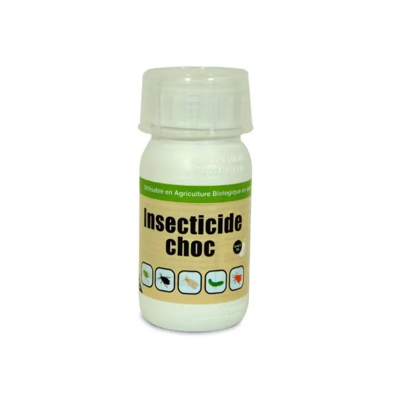 Acheter Direct INSECTICIDE SPRUZIT CHOC CONCENTRÉ 250ML